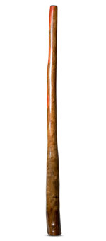 Tristan O'Meara Didgeridoo (TM299)